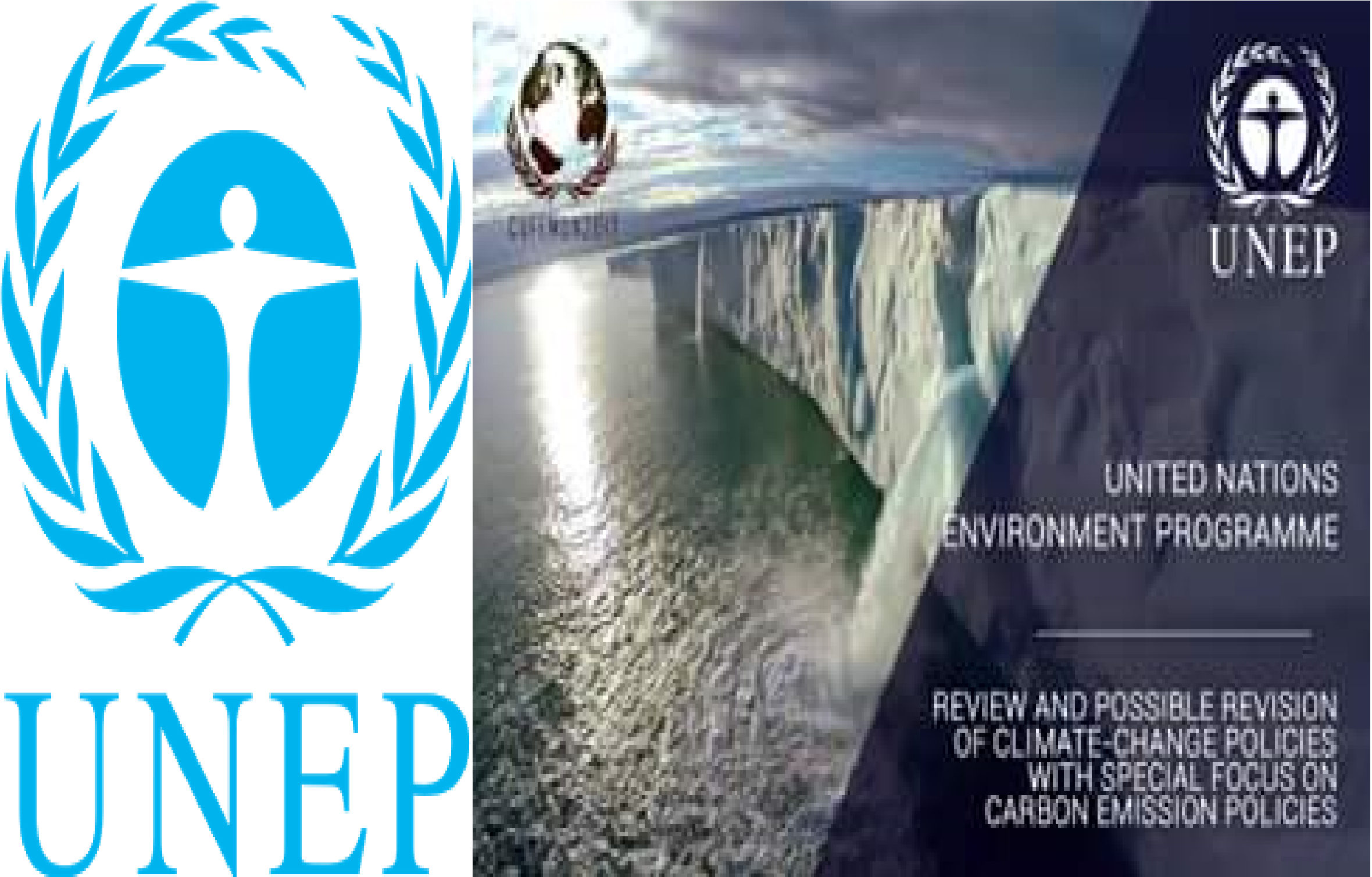 United Nation Environment Programme committee